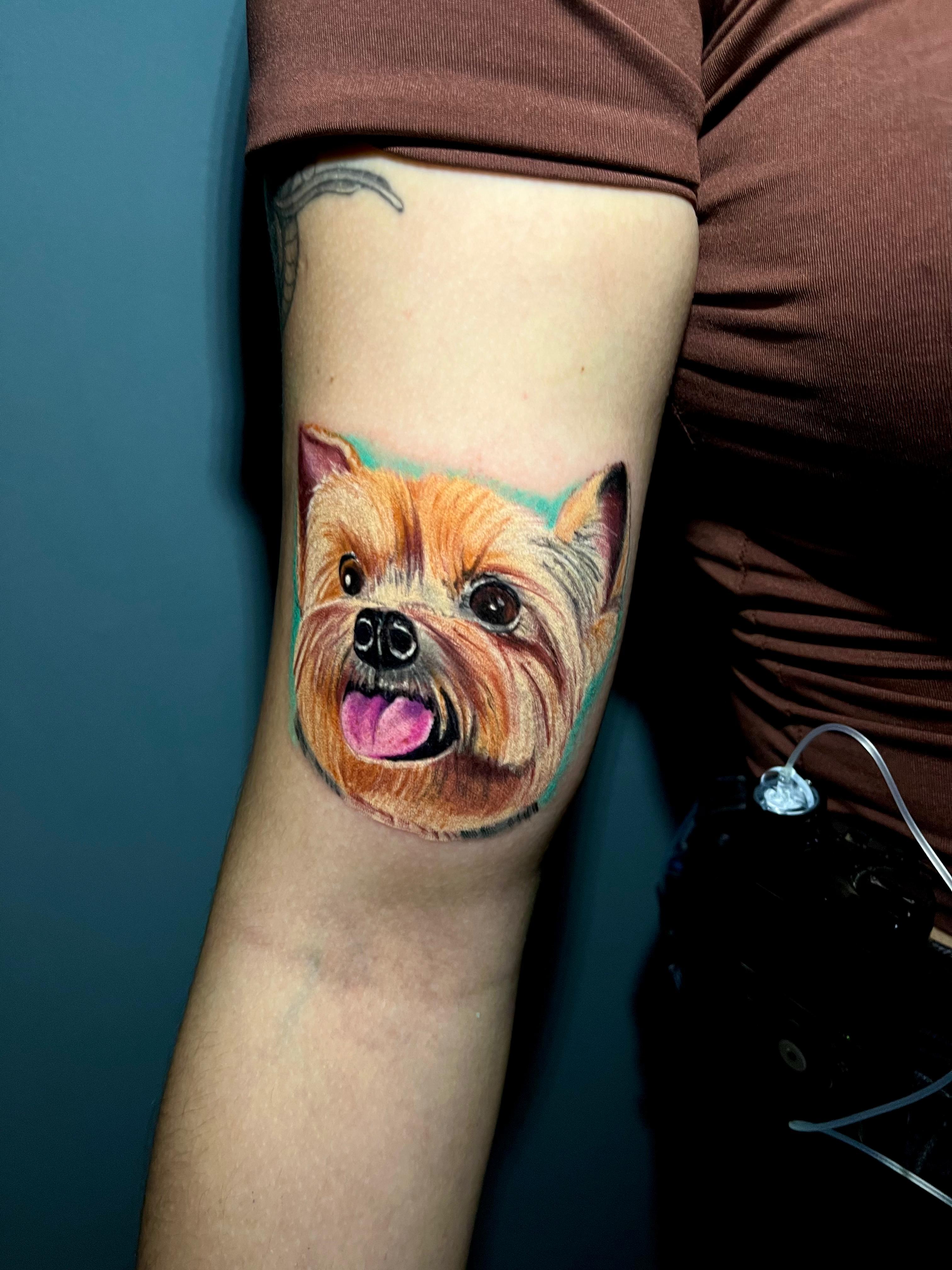 Tatuagem realismo Yorkshire colorido